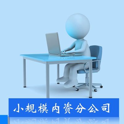 代理記賬服務(wù) 中小企業(yè)財務(wù)管理的高效解決方案
