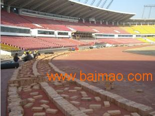 預(yù)制型環(huán)保橡膠跑道 綠通塑膠制品的專業(yè)供應(yīng)與塑膠地板批發(fā)